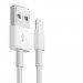 Lightning naar USB kabel iPhone / iPad 1 meter wit