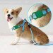 Siliconen AirTag hoesje voor halsband hond/huisdier groen